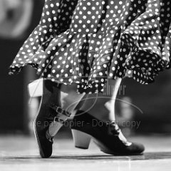 ANTON Mathilde et LLINARES Léa - Réunion Flamenca