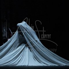 Paula COMITRE - Alegorias (2024)