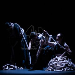 Paula COMITRE - Parcas