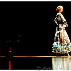 Cie FLAMENCA TEMPERAMENTO ANDALUZ - Trait d'Union