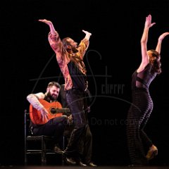 FERNANDEZ Jesus - Puntos Inacabados