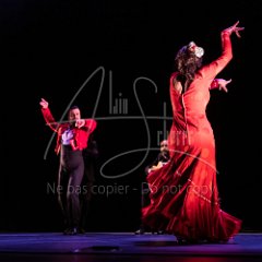 SAAVEDRA A. et SANTANA A. - Simbiosis